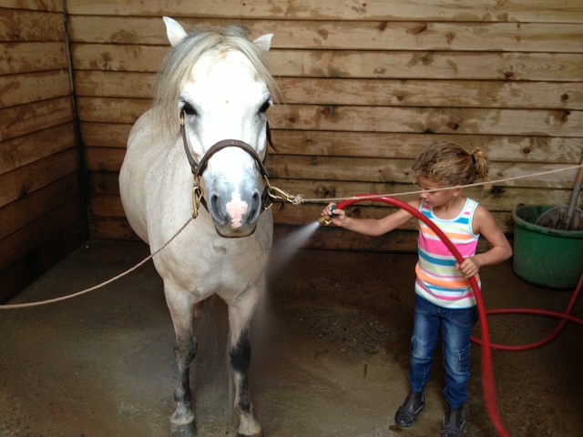 Young Rylen bathing a pony in the barn