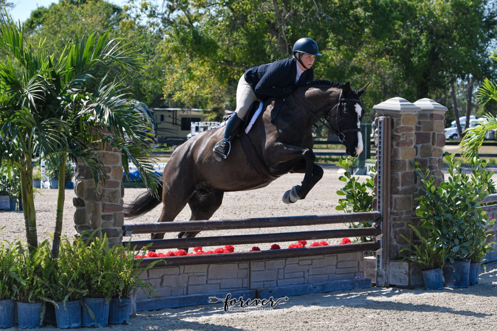 Rylen show jumping over a stone-walled oxer