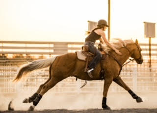 Horse and rider at a gallop in warm sunset light