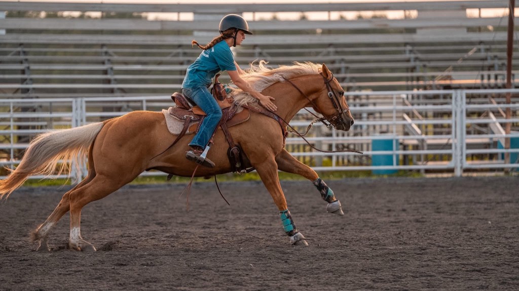 Rylen galloping a palomino in the arena at golden hour